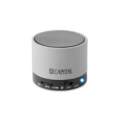 Bluetooth speaker Silver